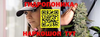 ALPHA PVP Камышлов