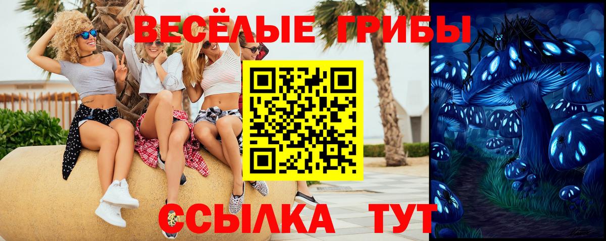 Новокуйбышевск  Псилоцибиновые грибы MAGIC MUSHROOMS  Галлюциногенные грибы Magic Shrooms  как найти закладки  Вход с VPN 